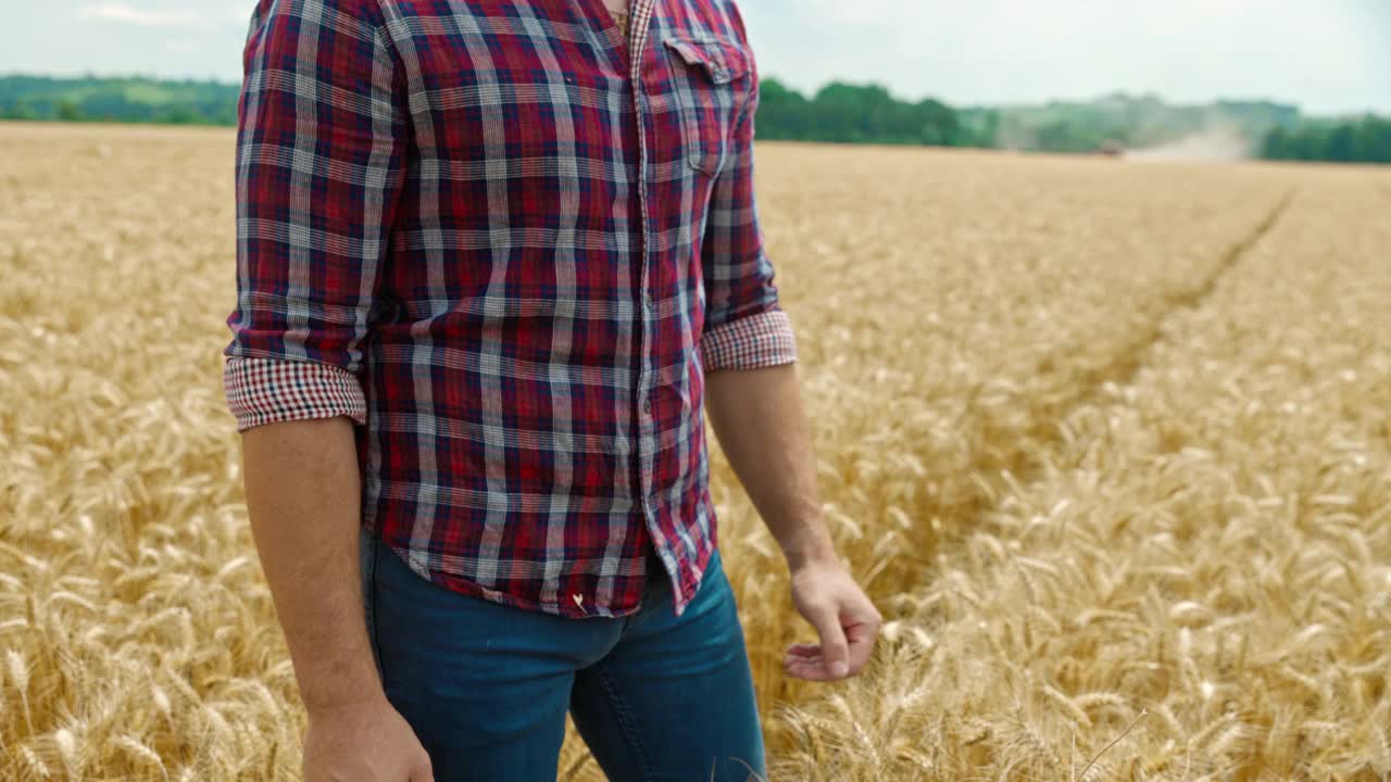 农民在田地中央对小麦进行质量控制视频下载