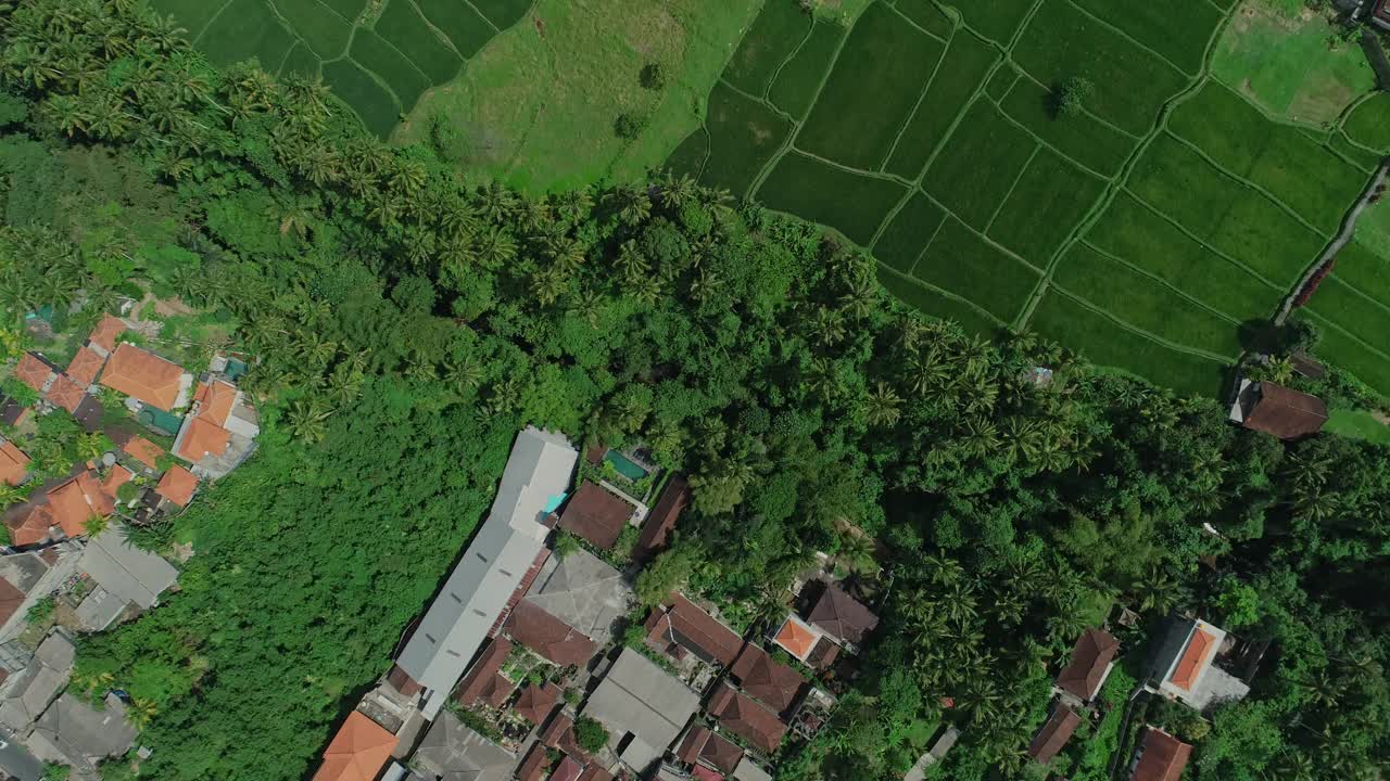 鸟瞰乌布，巴厘岛，印度尼西亚视频素材