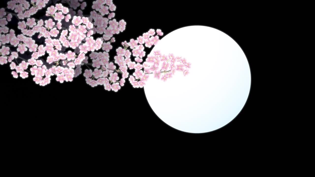 背景图像的樱花在晚上，月亮和日本图案视频下载