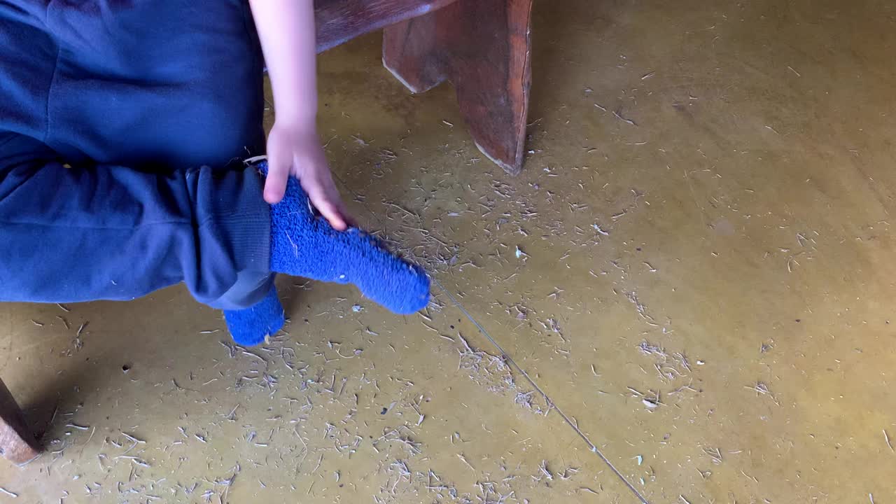 男孩正在清洗装满干植物零件的蓝色袜子视频下载