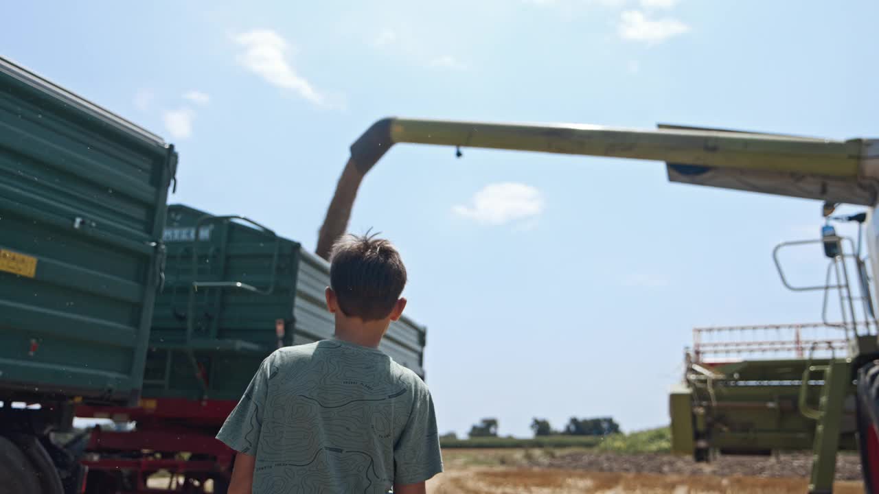 一个小男孩正看着联合收割机把谷物装进拖拉机拖车里视频素材
