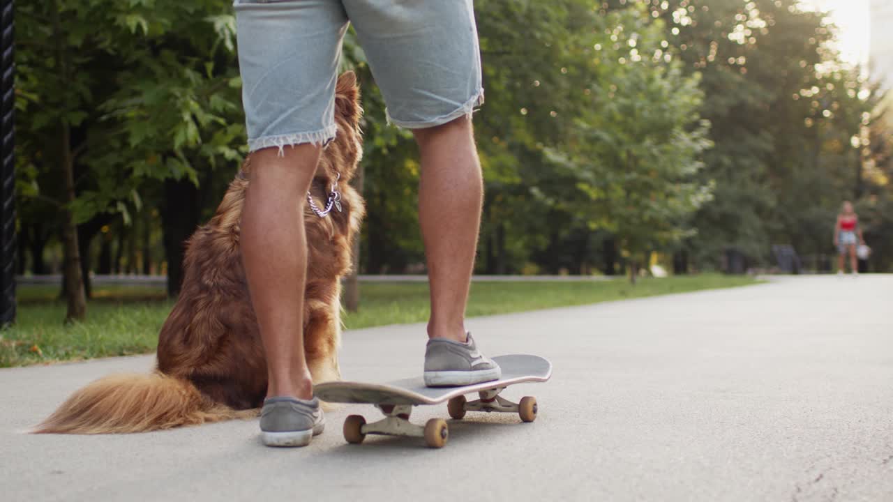一名年轻的男子正和他的狗在公园散步视频素材