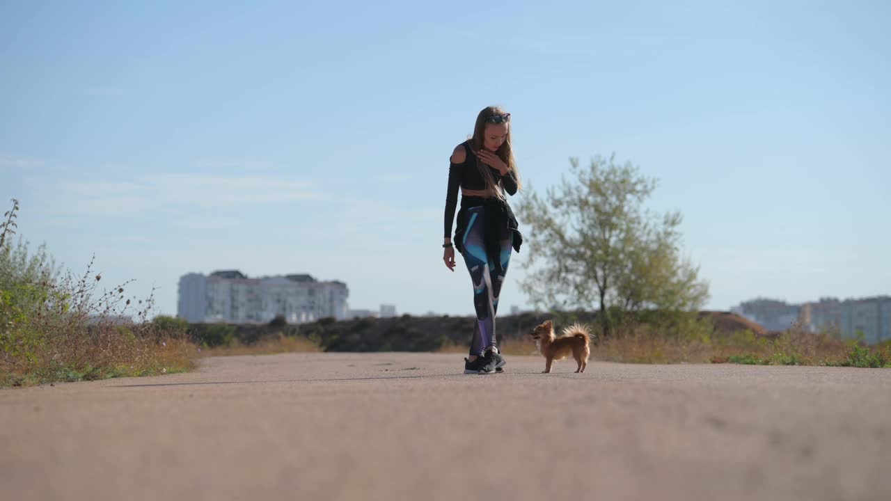 年轻活跃的运动妇女在运动服训练她的小吉娃娃宠物狗在她的腿下跑步在城市的休闲把戏和特技行走和服从训练视频下载
