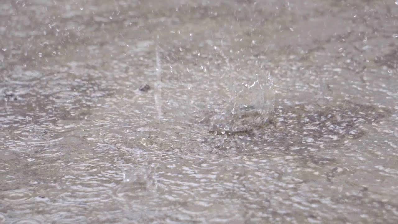 8月地上的季节性雨视频素材