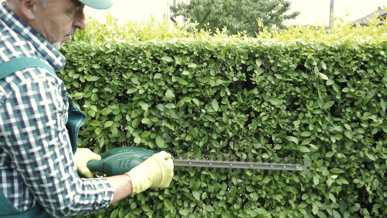 园丁用锯修剪树篱视频下载