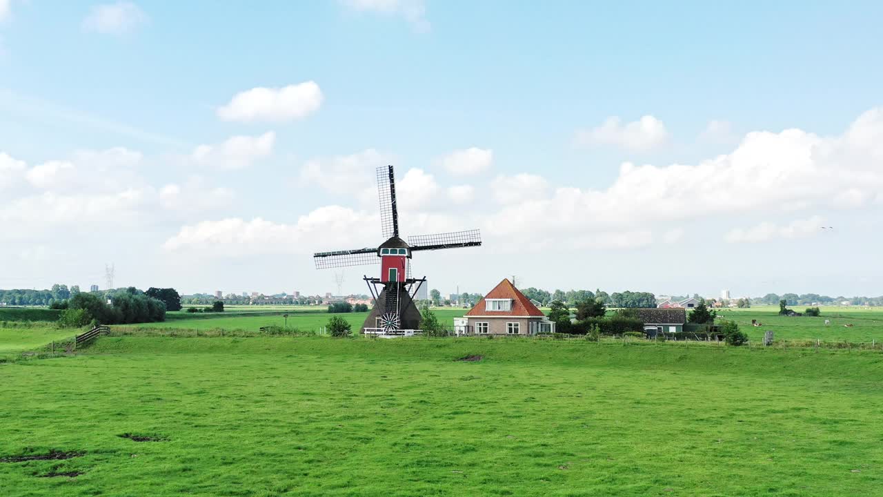 新与旧。传统的荷兰景观，有风车和奶牛。后面是扩张的城市视频下载