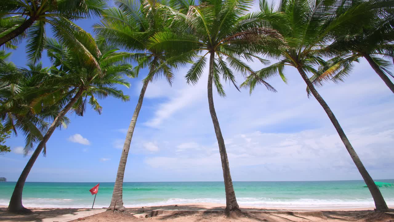 椰子树和热带海洋。暑假和热带海滩的概念。椰子树生长在白色的沙滩上。泰国普吉岛自由海滩前的椰子树。视频素材