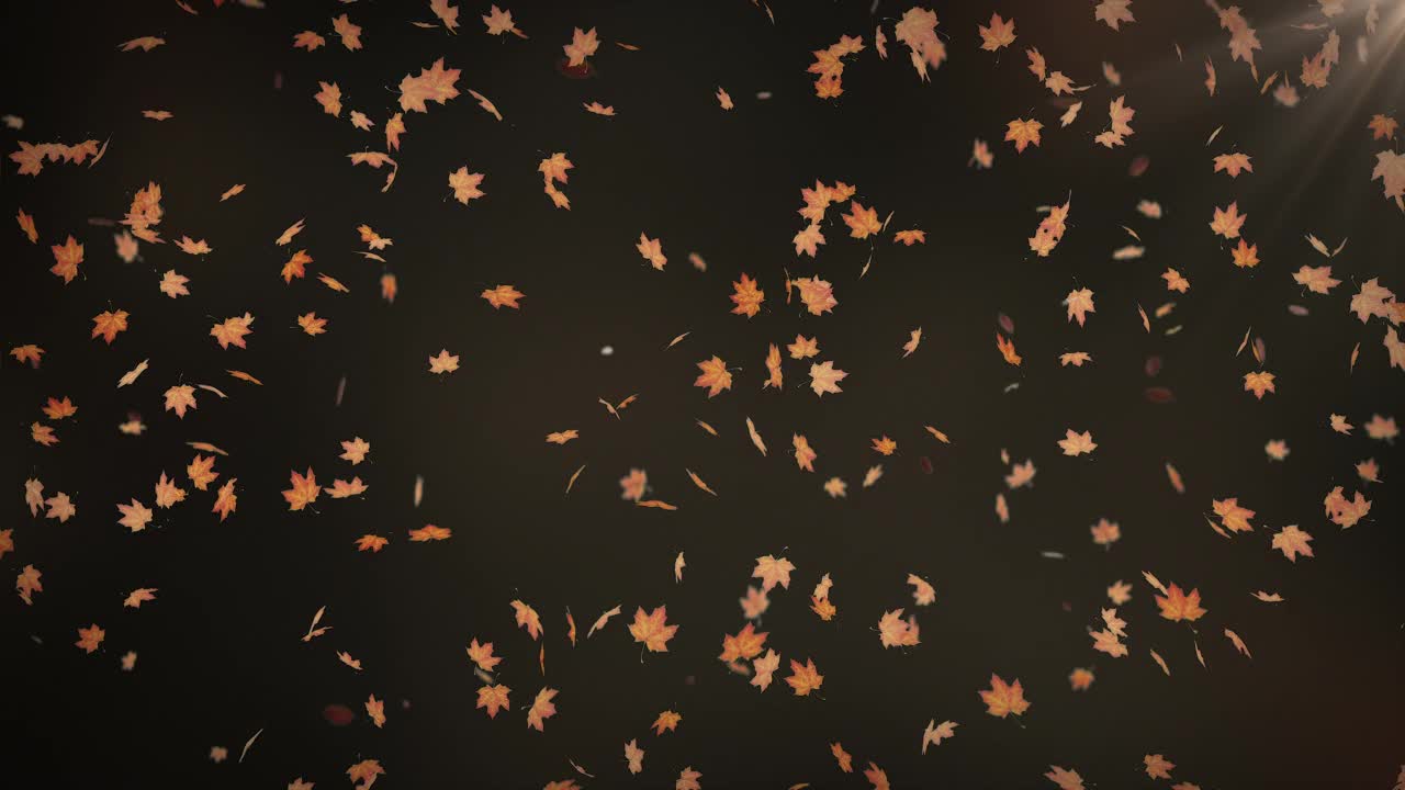 感恩节动画背景视频素材