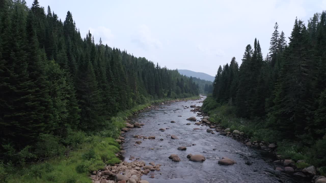 鸟瞰图的北方自然森林和河流在夏天，魁北克，加拿大视频下载