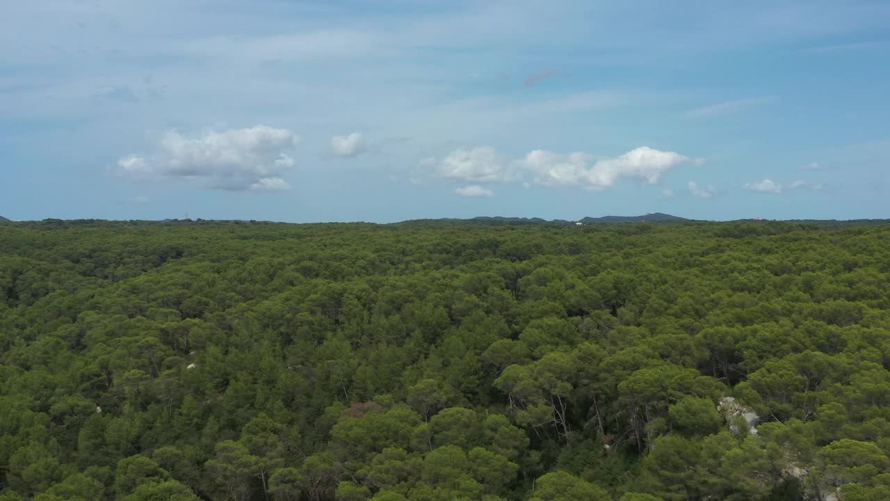 无人机拍摄的梅诺卡松树林视频下载