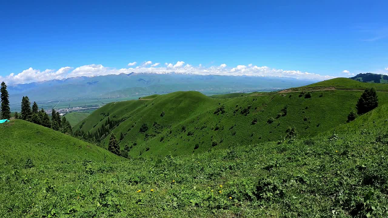新疆那拉提大草原视频素材