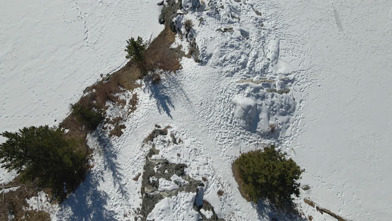 空中极宽镜头，一对夫妇手牵着手拖着刚砍下的圣诞树穿过阳光明媚的冬天下午的雪视频下载