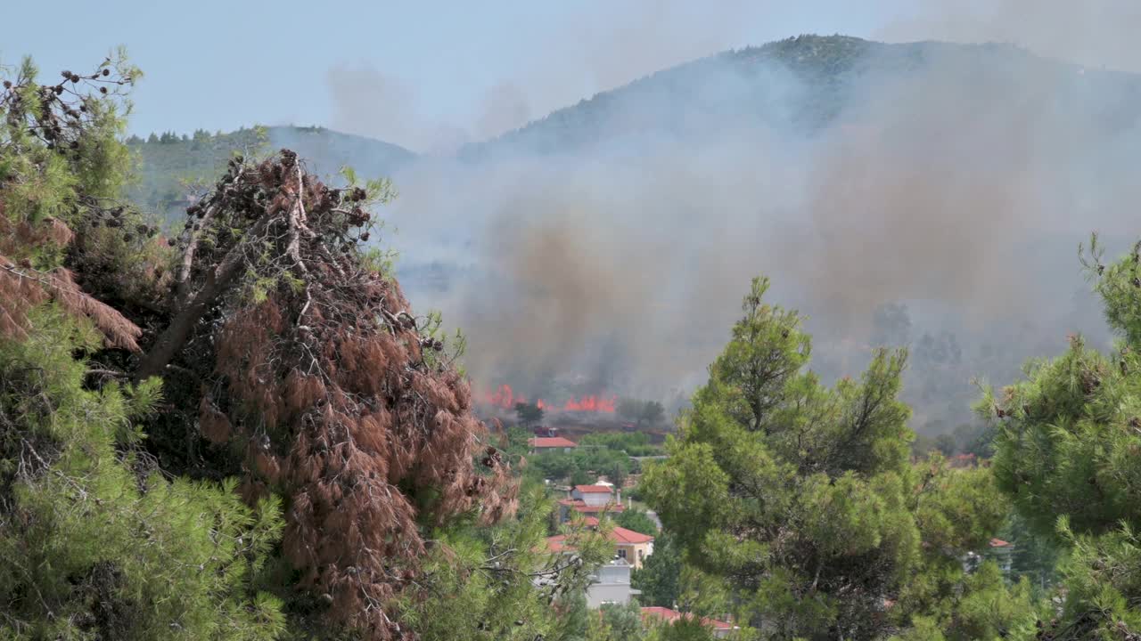 森林大火的火焰和浓烟的画面视频素材