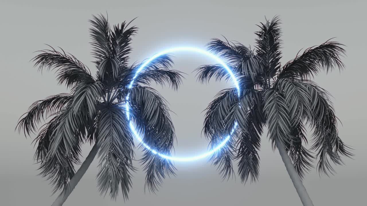 两棵棕榈树之间的圆形霓虹灯框架。视频下载