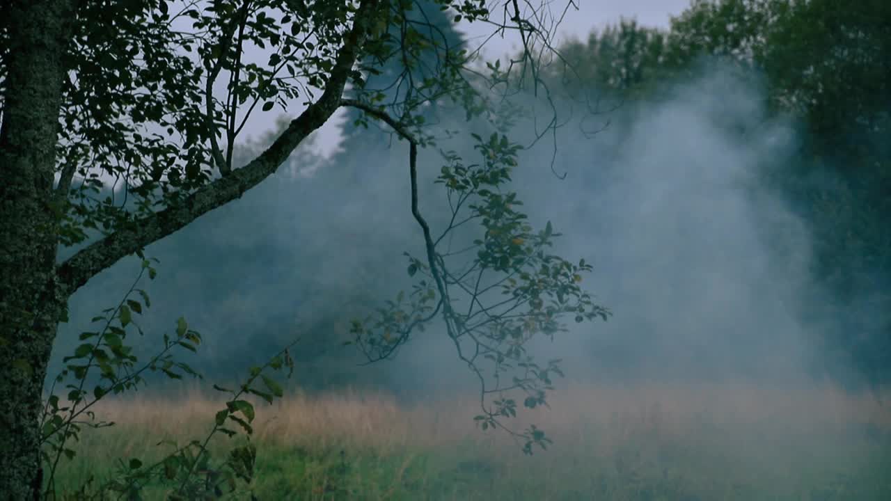 在一个秋天的傍晚，蓝色的烟雾在森林附近的田野上飞过视频素材