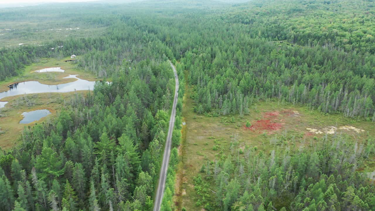 鸟瞰图的自行车道和北方森林，魁北克，加拿大视频下载
