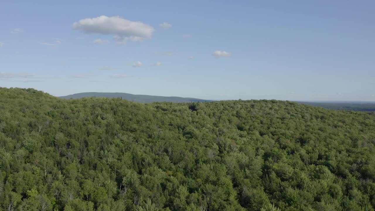 加拿大魁北克省，夏季北方森林的鸟瞰图视频下载