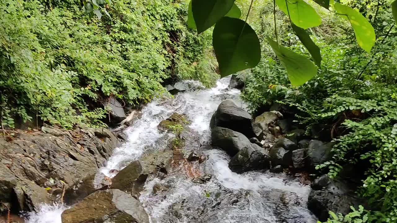 水从绿色旅游地印度之间的岩石中落下视频下载
