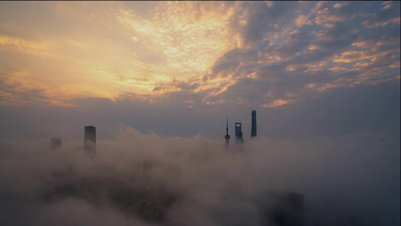 空中全景的上海黎明天际线视频素材
