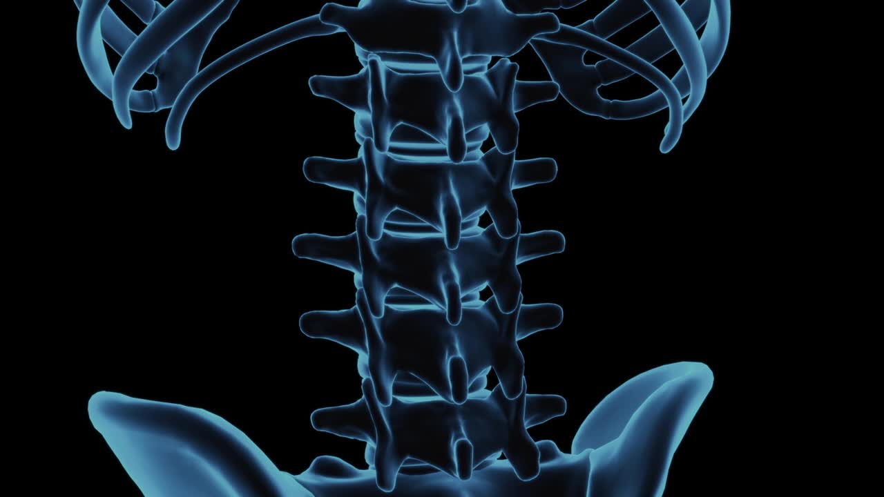 腰椎，身体x线扫描的脊柱下带视频下载