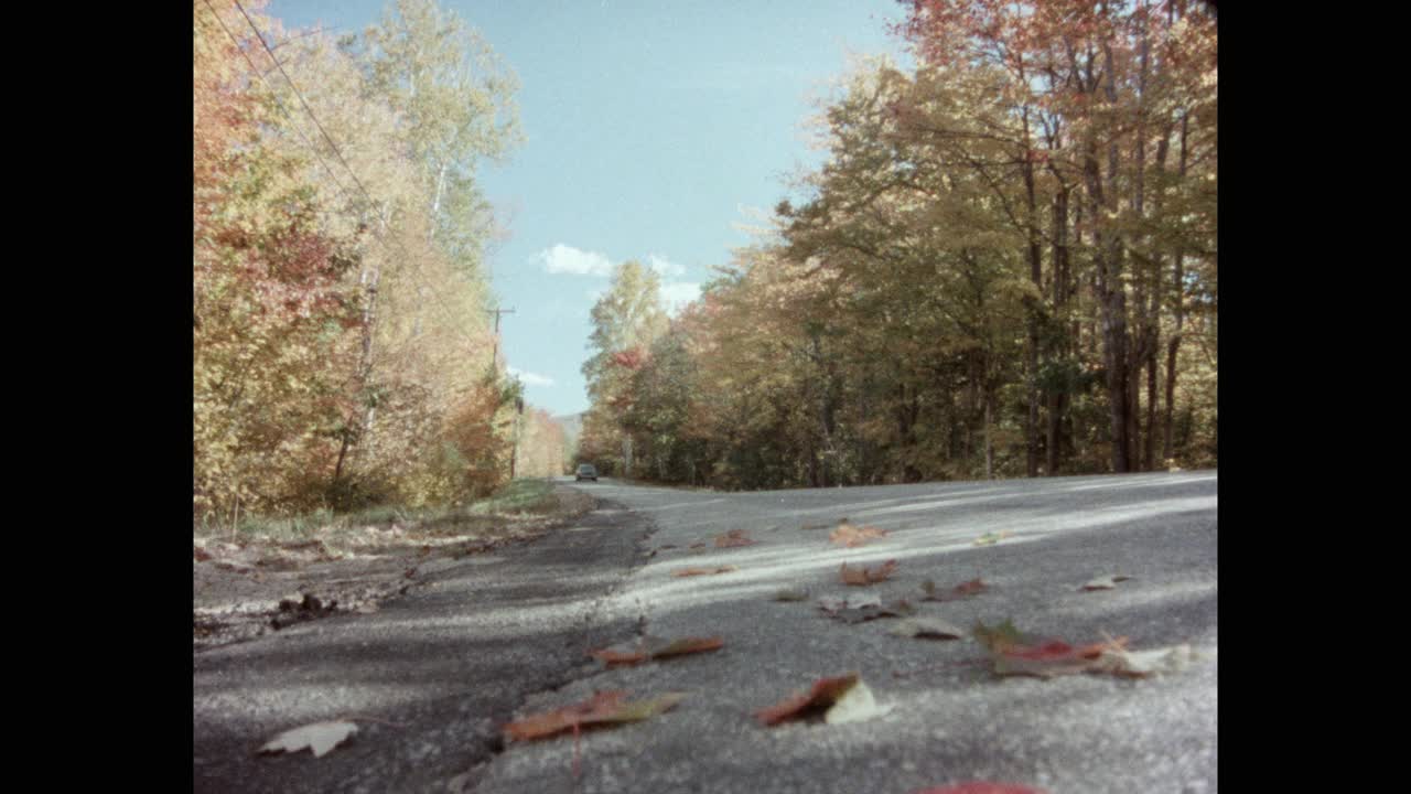 汽车在公路上行驶的宽镜头与秋天的树木，美国新罕布什尔州的森林视频下载