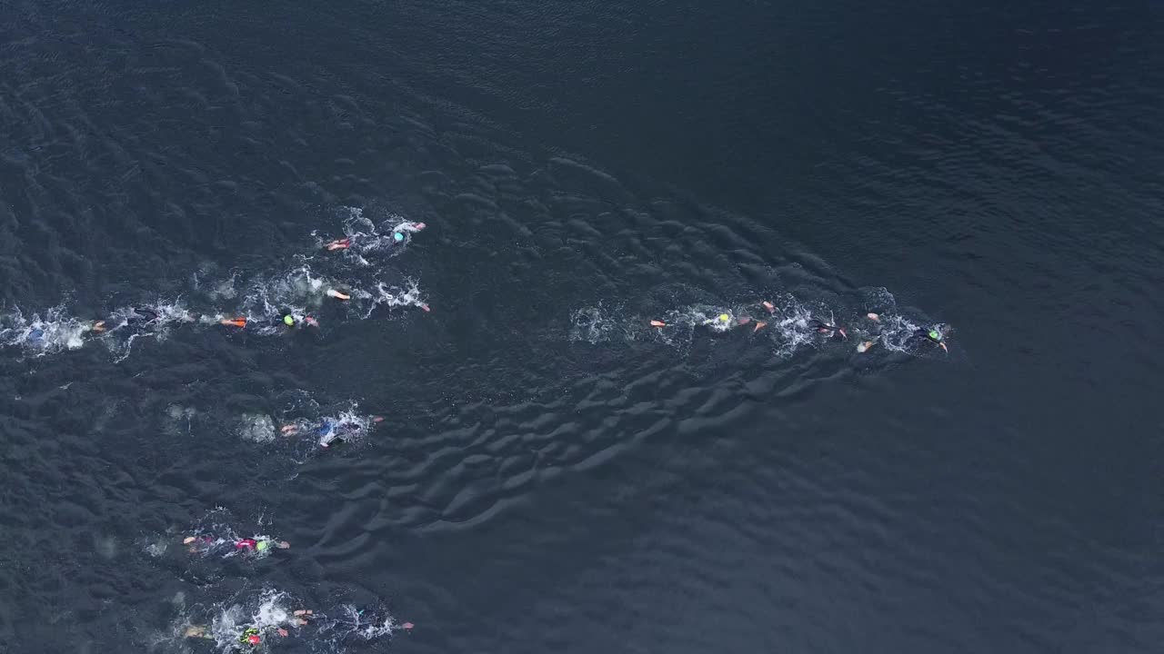 在铁人三项比赛的第一阶段，一组铁人三项运动员在湖中游泳视频下载
