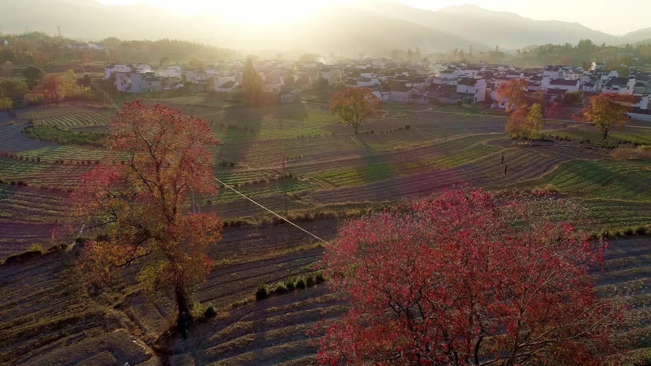 中国安徽鲁村的乡村景观视频下载