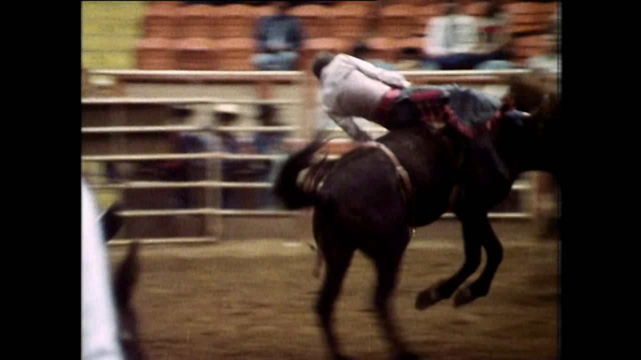 在德克萨斯州，牛仔们试图骑上野马;1983视频下载