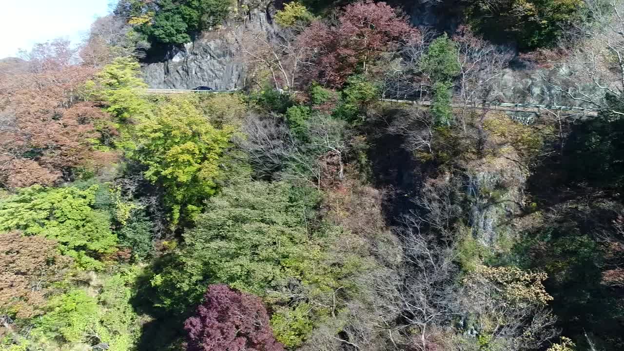 无人机空中飞行，日本群马县高津道峡谷视频素材