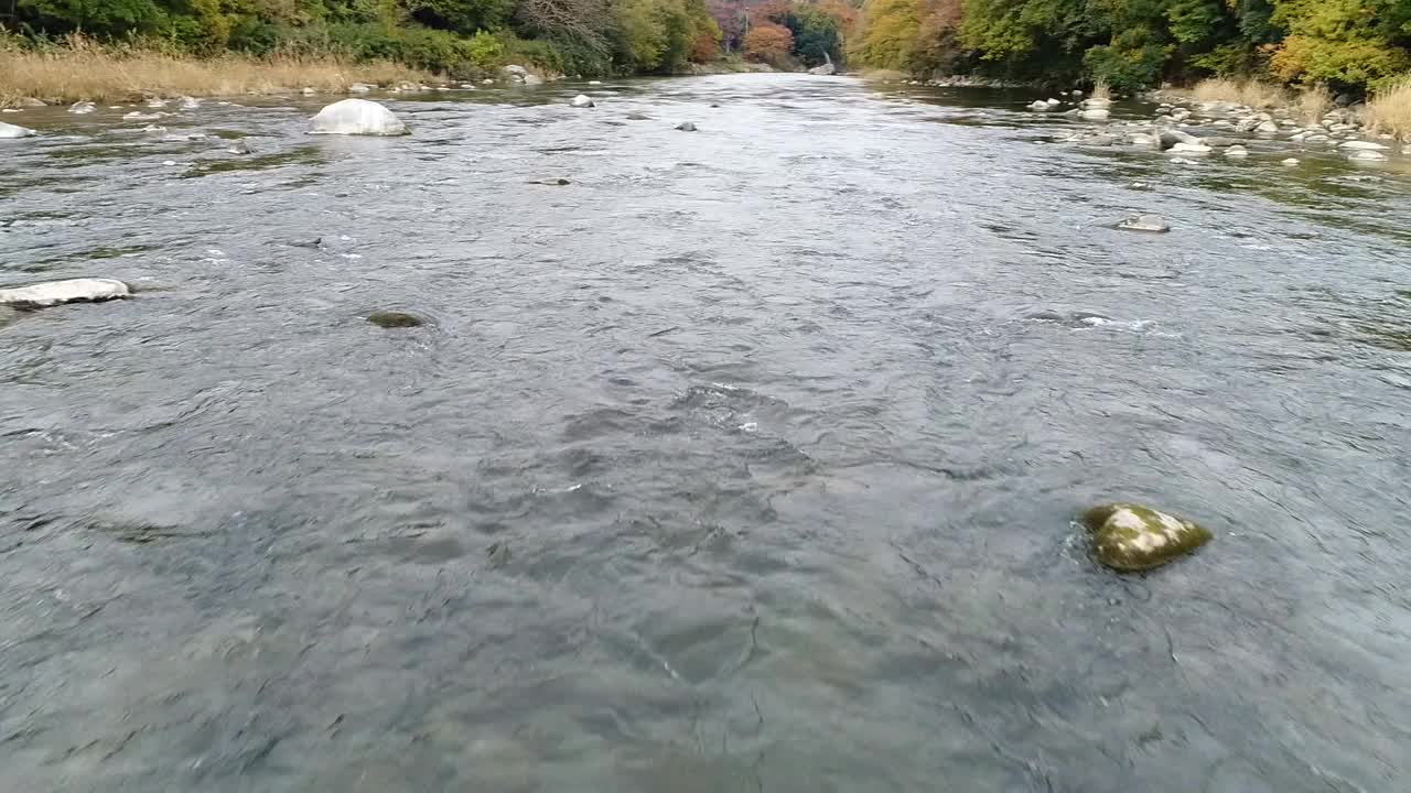 无人机空中飞行，Watarase河，群马县，日本视频素材
