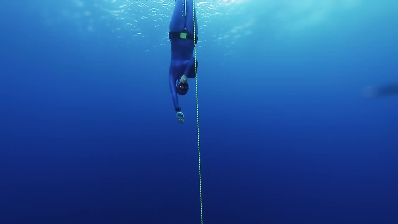 在红海自由潜水。埃及红海，一名自由潜水女子在训练单鳍潜水时沿着绳索潜水视频素材