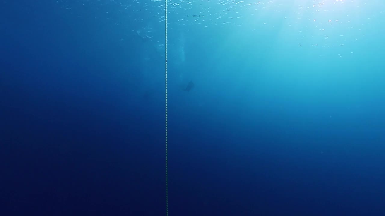在红海自由潜水。在埃及红海训练潜水时，自由潜水女子沿着绳索滑行(自由浸泡训练)视频素材
