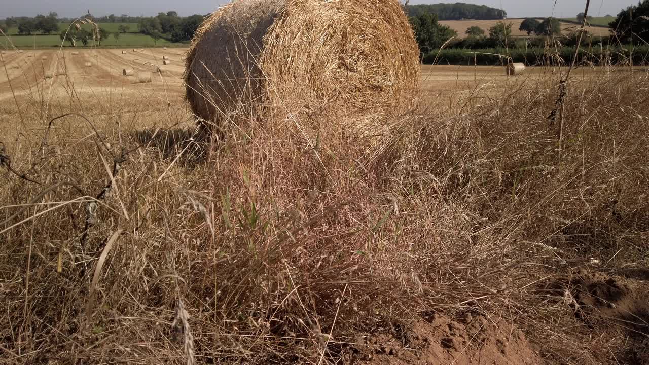 从英格兰北安普敦郡纳斯比的英格兰内战战场上的一个圆形稻草捆上追踪。视频下载