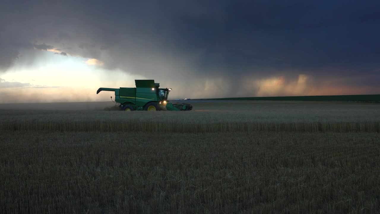 在夏季傍晚雷雨中收获小麦的联合收割机的宽侧视图视频素材