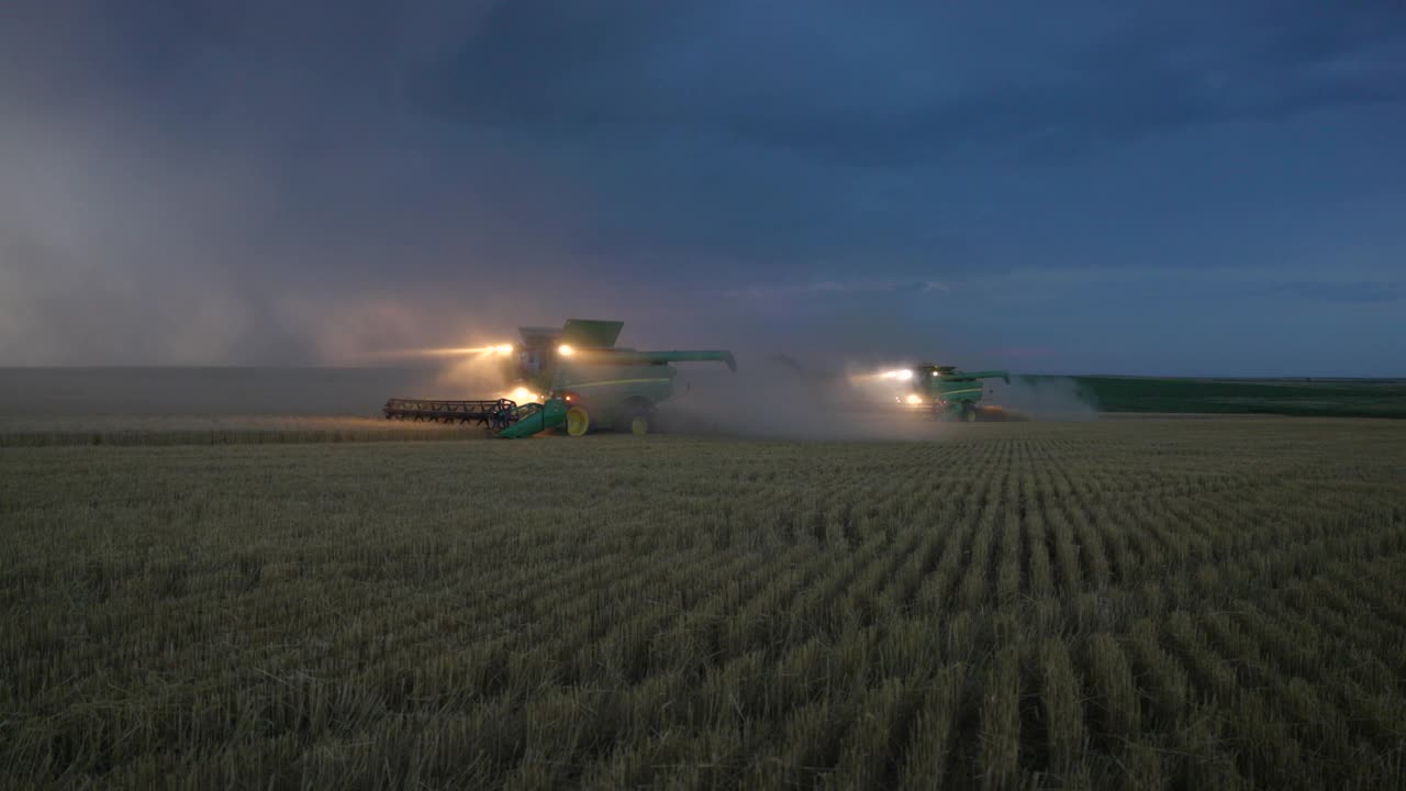 在夏季傍晚的闪电风暴中，联合收割机收割成行的小麦视频素材
