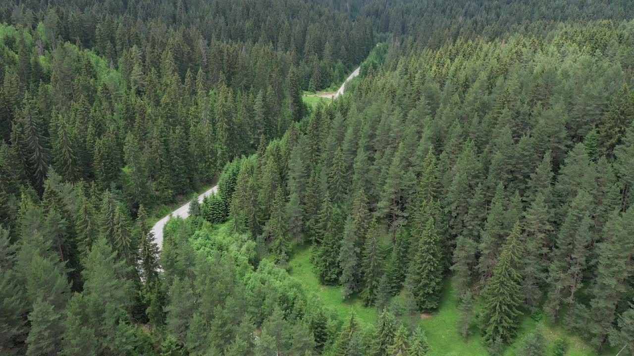 穿越森林的公路旅行视频素材