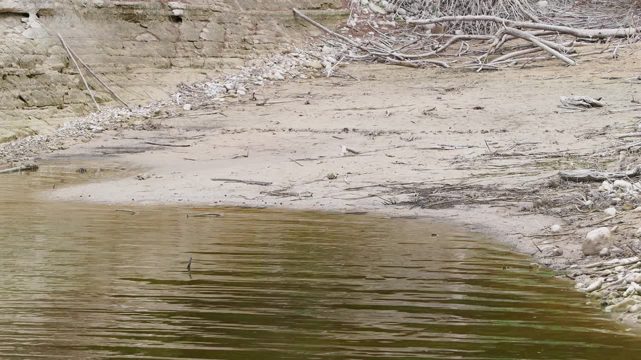 水库岸边，由于干旱，水很少，受污染的水和低氧水平。视频素材