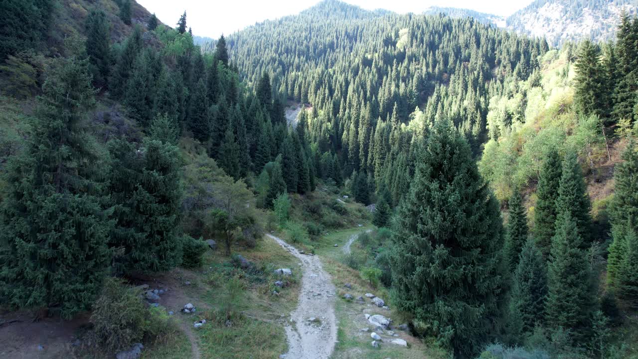 峡谷中穿过森林的山路视频素材