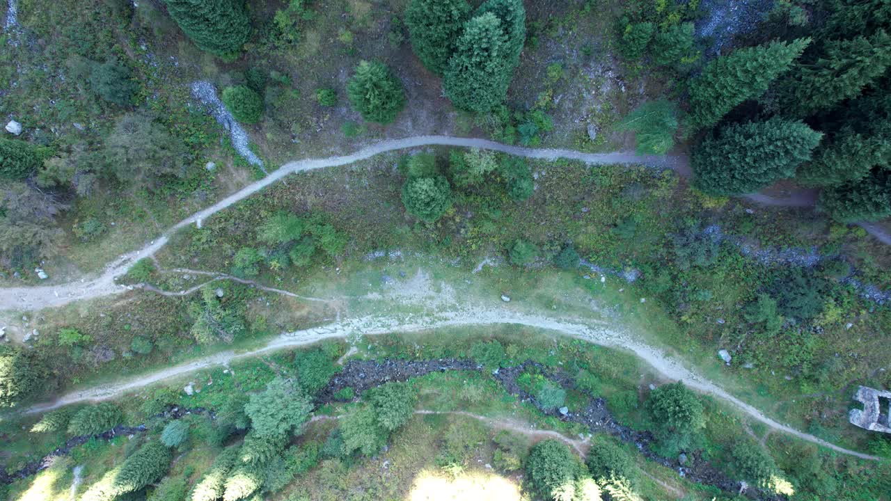 峡谷中穿过森林的山路视频素材