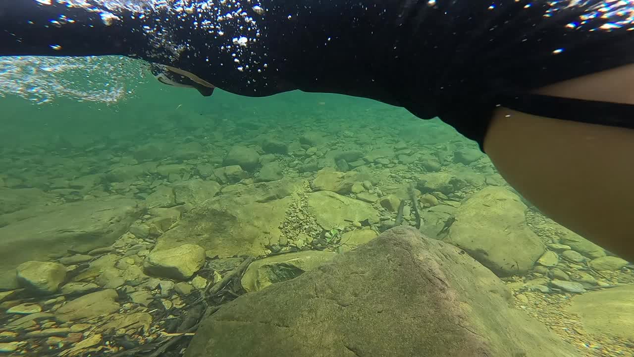 在清澈的水中自由潜水。视频下载