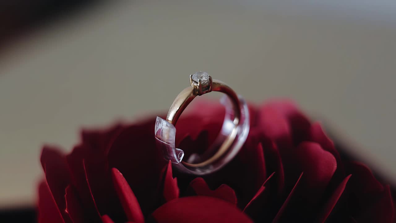 一枚金戒指立在美丽的玫瑰花蕾上。近距离射击视频素材