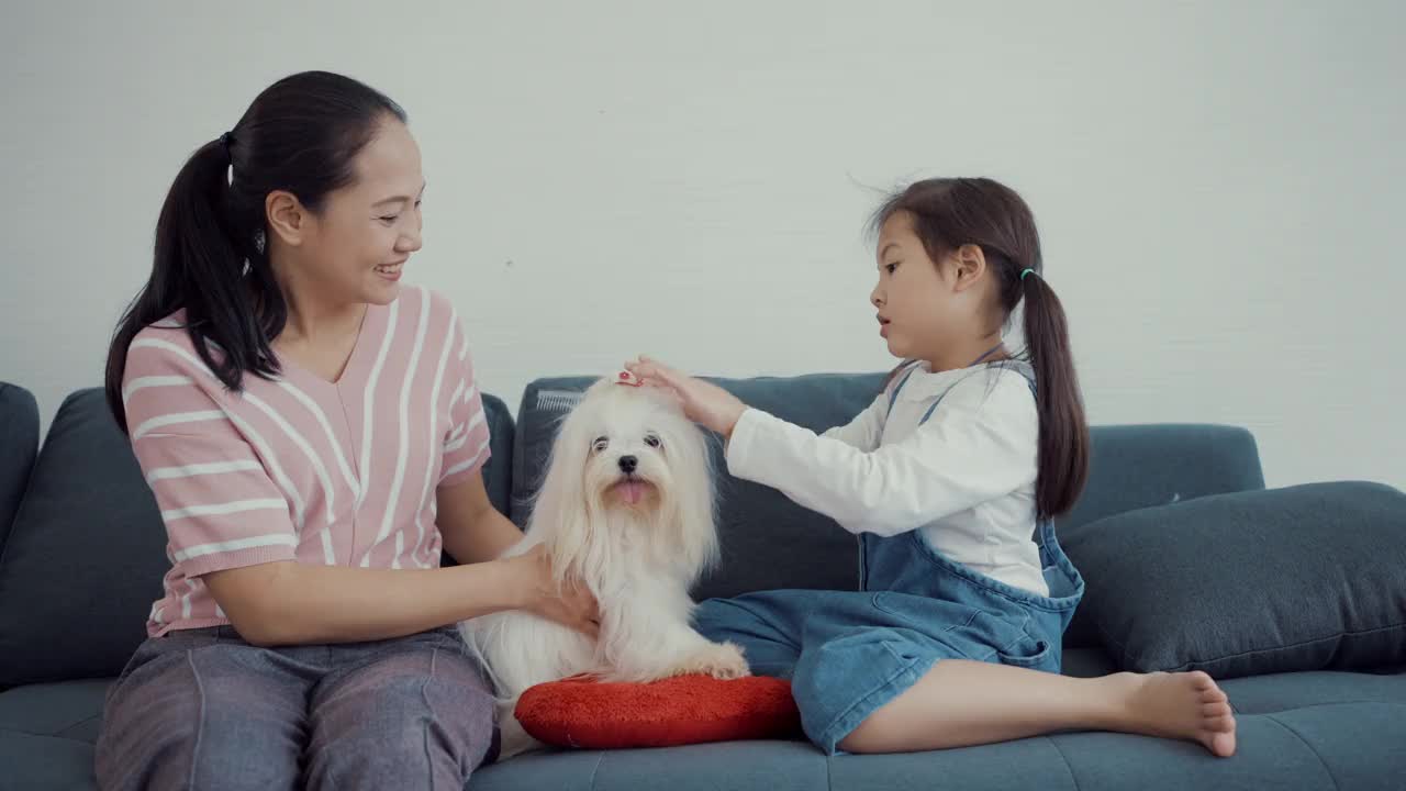 爱-家庭的情感与宠物的爱，狗的忠诚。视频下载