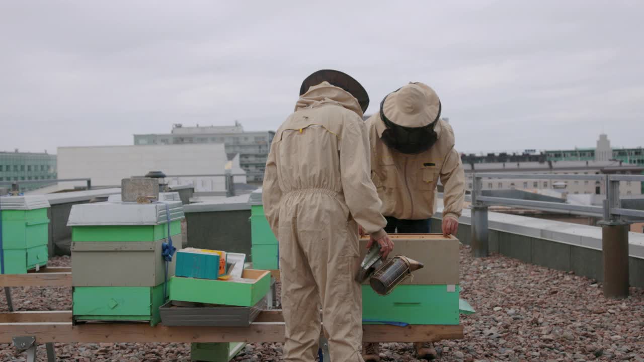 城市养蜂人在城市的屋顶上处理蜂箱视频素材