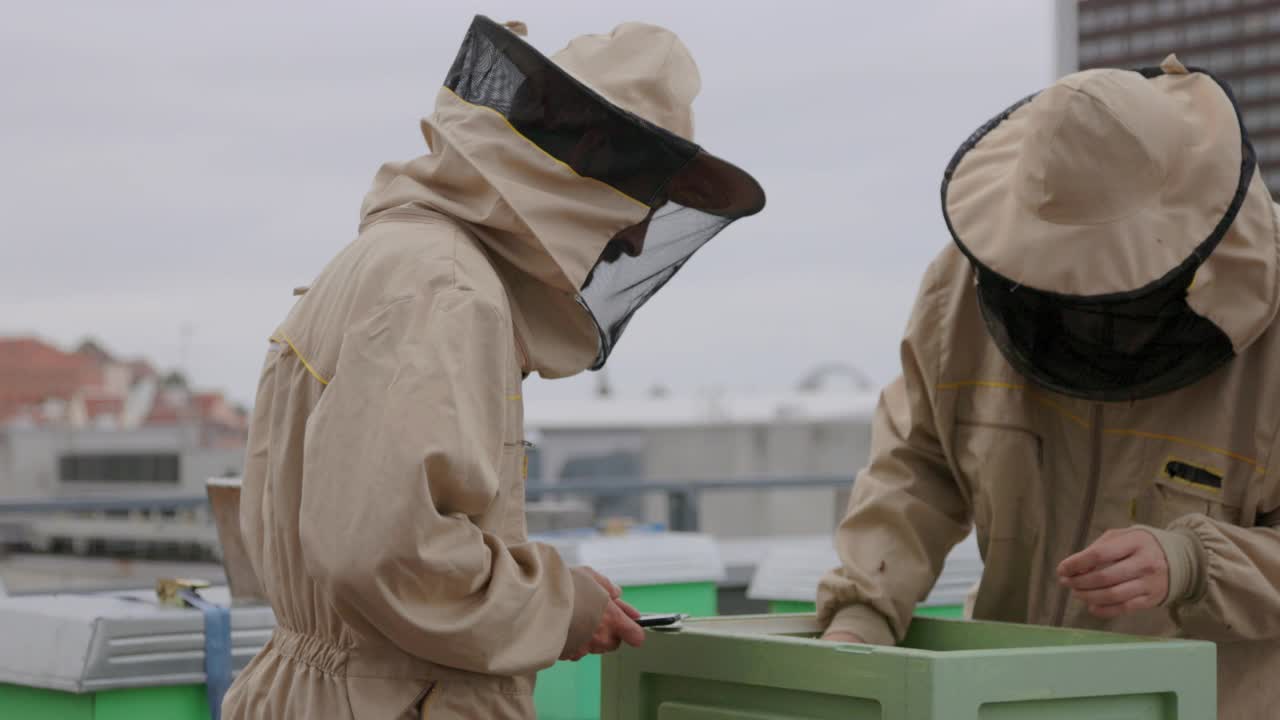 养蜂人在给蜜蜂拍照视频素材