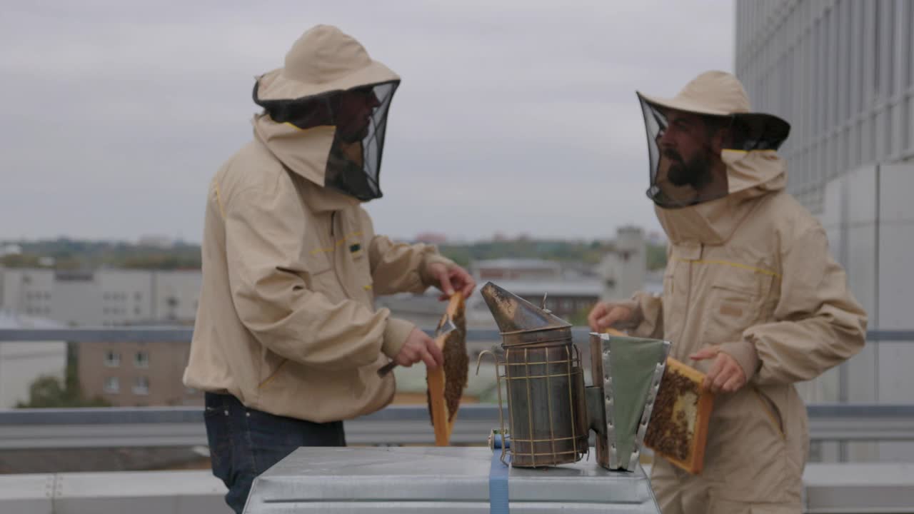 城市养蜂人在工作视频素材