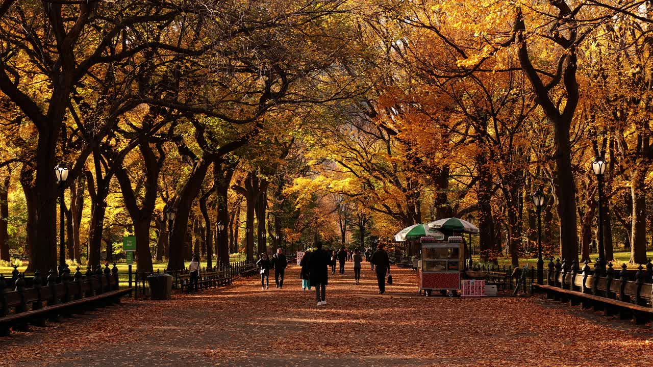 中央公园的秋天视频下载