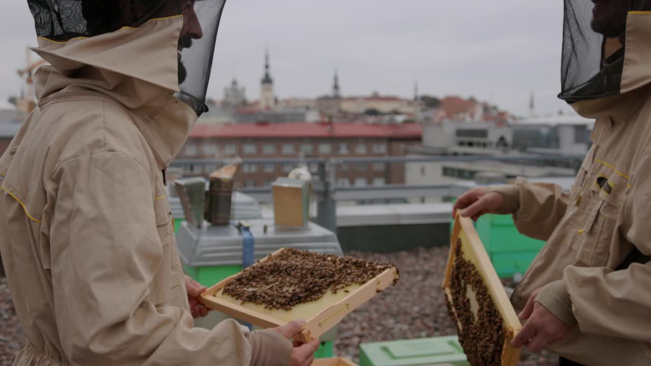 城市养蜂人在讨论中视频素材