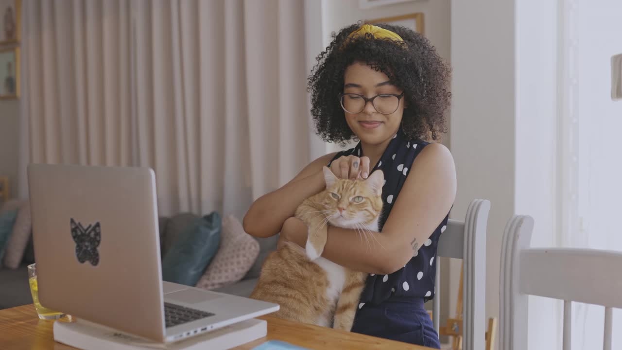 一名年轻女子在家工作时抚摸她的猫的4k视频片段视频下载