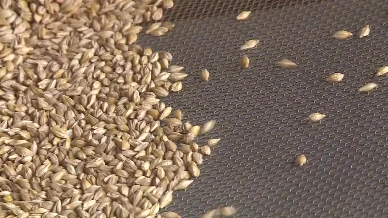 铜，手工筛大麦，日本视频下载