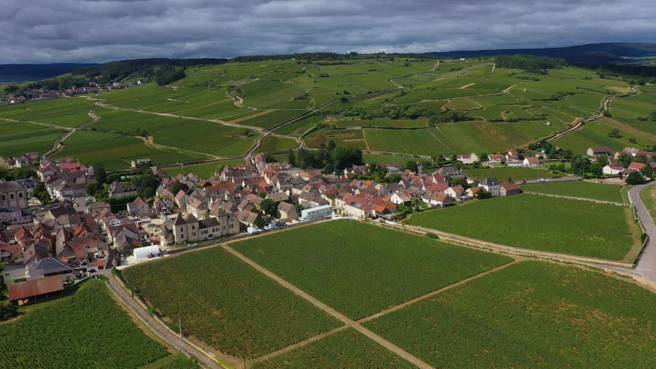 法国勃艮第的葡萄园视频下载